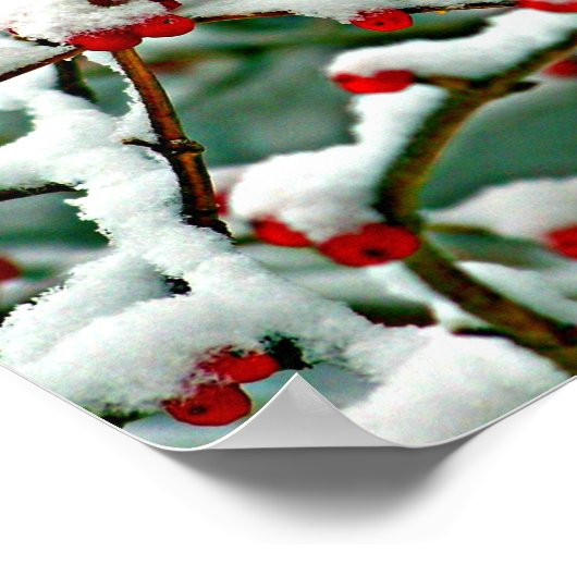 Rote Berries im Schnee Poster (Ecke)
