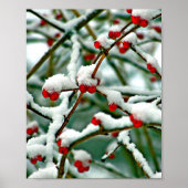 Rote Berries im Schnee Poster (Vorne)