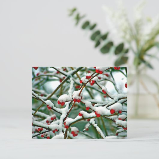 Rote Berries im Schnee Postkarte (Stehend Vorderseite)