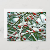 Rote Berries im Schnee Postkarte (Vorne/Hinten)