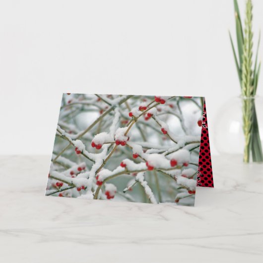 Rote Berries im Schnee Weihnachten Karte (Vorderseite)