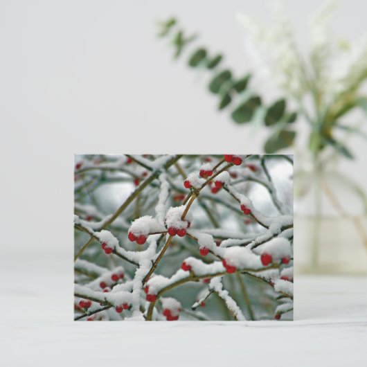 Rote Berries im Winterschnee Postkarte (Stehend Vorderseite)