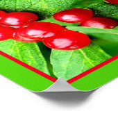Rote Berries mit Abstrakter Raindrops Poster (Ecke)
