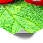 Rote Berries mit Nahen Regentropfen Poster (Ecke)