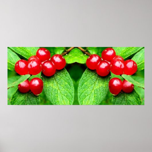 Rote Berries mit Raindrops Mirror Abstrakt Poster (Vorne)