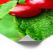 Rote Berries mit Raindrops Mirror Abstrakt Poster (Ecke)