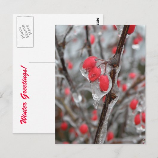 Rote Berries versinken in Eis Postkarte (Vorne/Hinten)