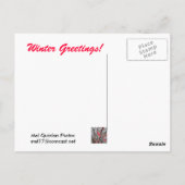 Rote Berries versinken in Eis Postkarte (Rückseite)