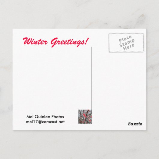 Rote Berries versinken in Eis Postkarte (Rückseite)