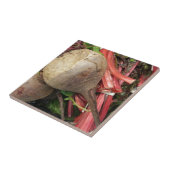 Rote-Bete-Wurzeln Fliese (Seite)