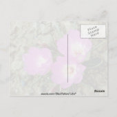 Rote Bitterroot-Blume Postkarte (Rückseite)