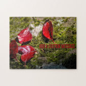 Rote Blätter auf einem Felsen Puzzle (Horizontal)