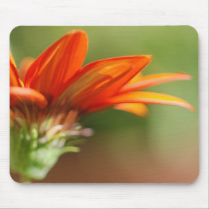 Rote Blätter aus Gazania Mousepad