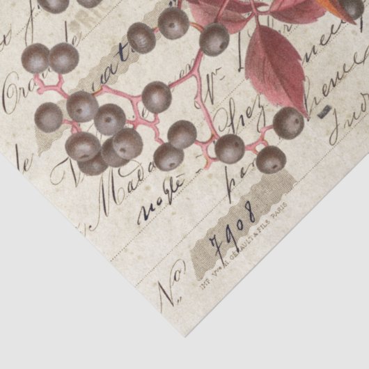 Rote Blätter Berries Botanische Französisch-Script Seidenpapier (Detail)