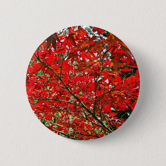 Rote Blätter Button (Vorderseite)