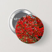 Rote Blätter Button (Vorne & Hinten)
