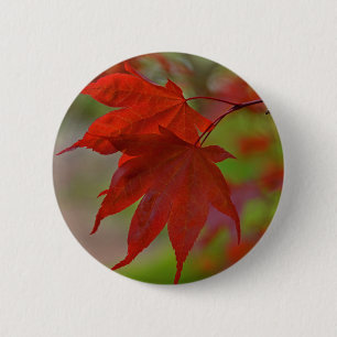 Rote Blätter Button