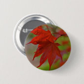 Rote Blätter Button (Vorne & Hinten)