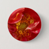Rote Blätter Button (Vorderseite)