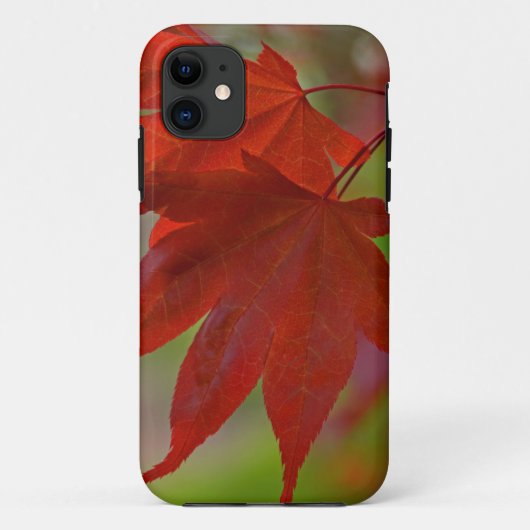 Rote Blätter Case-Mate iPhone Hülle (Rückseite)
