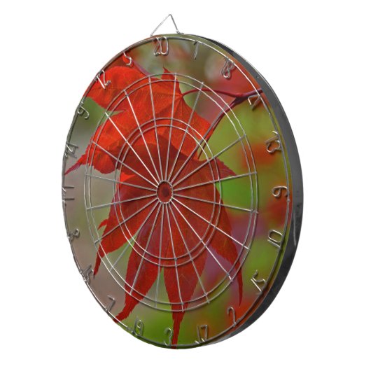 Rote Blätter Dartscheibe (Vorderseite rechts)