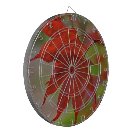 Rote Blätter Dartscheibe (Vorderseite Links)