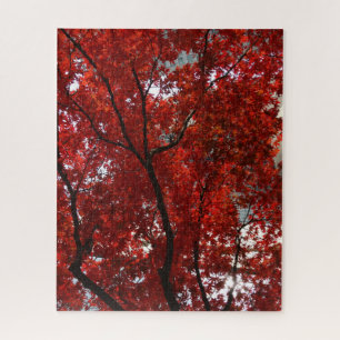 Rote Blätter Farbe ändern Puzzle