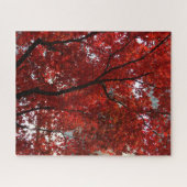Rote Blätter Farbe ändern Puzzle (Horizontal)