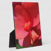 Rote Blätter Fotoplatte (Seite)