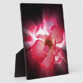 Rote Blätter Fotoplatte (Seite)