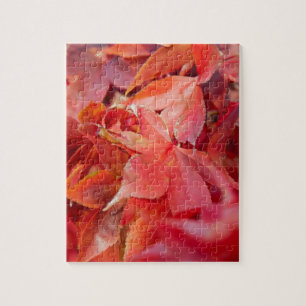 Rote Blätter für Herbst Puzzle