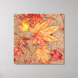 Rote Blätter im Regen Leinwanddruck