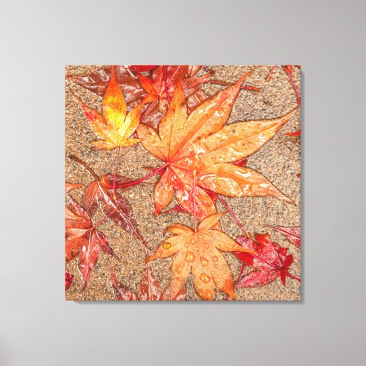 Rote Blätter im Regen Leinwanddruck (Vorderseite)