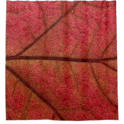 Rote Blätter in naher Fotografie Duschvorhang (Vorderseite)