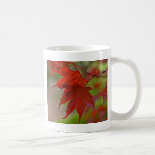 Rote Blätter Kaffeetasse
