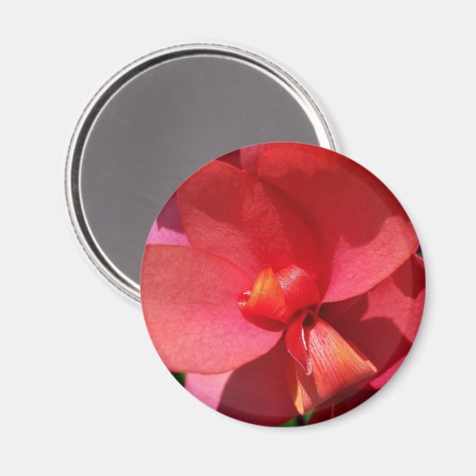 Rote Blätter Magnet (Vorderseite/Rückseite)