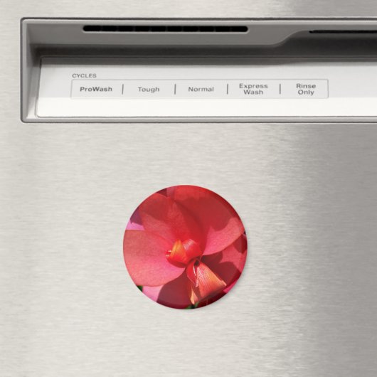Rote Blätter Magnet (In Situ (Geschirrspüler))