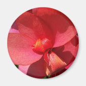 Rote Blätter Magnet (Vorne)
