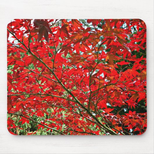 Rote Blätter Mousepad (Vorne)