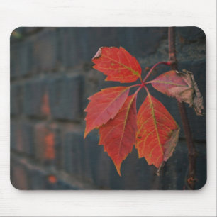 Rote Blätter Mousepad