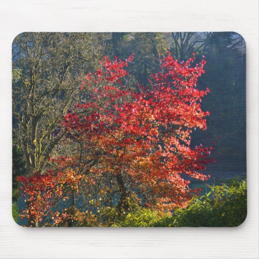 Rote Blätter Mousepad (Vorne)