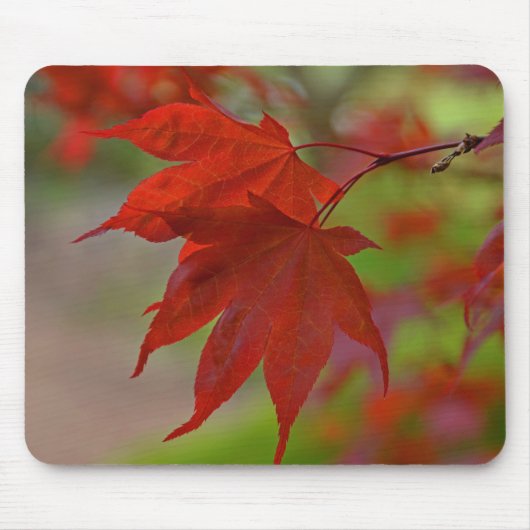 Rote Blätter Mousepad (Vorne)