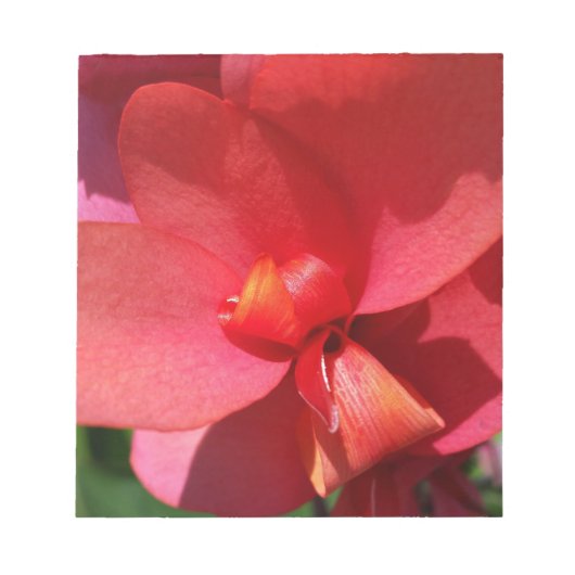 Rote Blätter Notizblock (Vorderseite)