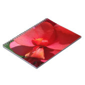 Rote Blätter Notizblock (Linke Seite)