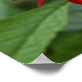 Rote Blätter Poster (Ecke)