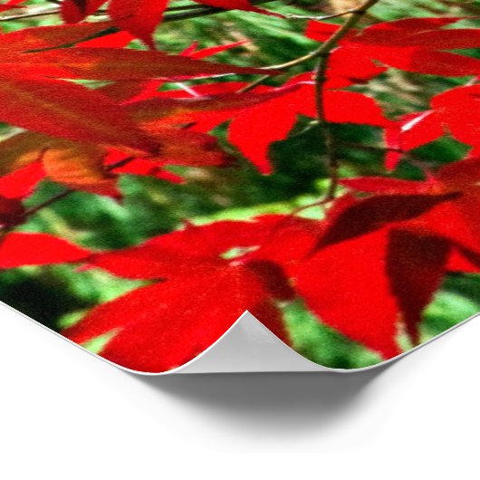 Rote Blätter Poster (Ecke)