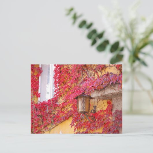 Rote Blätter Postkarte (Stehend Vorderseite)