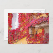 Rote Blätter Postkarte (Vorne/Hinten)