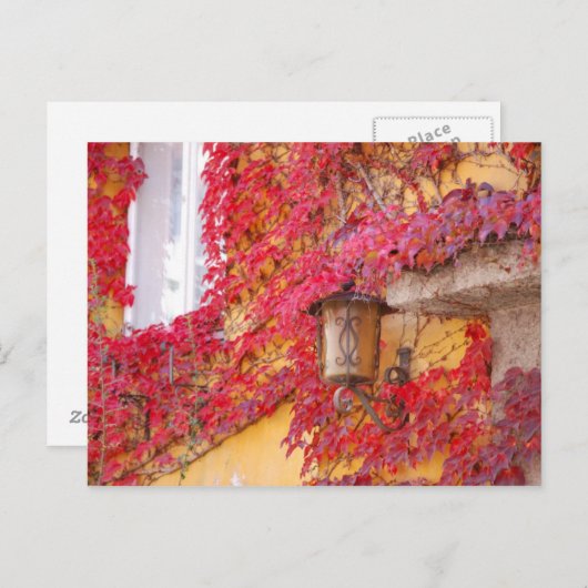 Rote Blätter Postkarte (Vorne/Hinten)