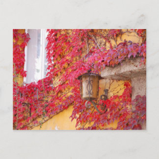 Rote Blätter Postkarte
